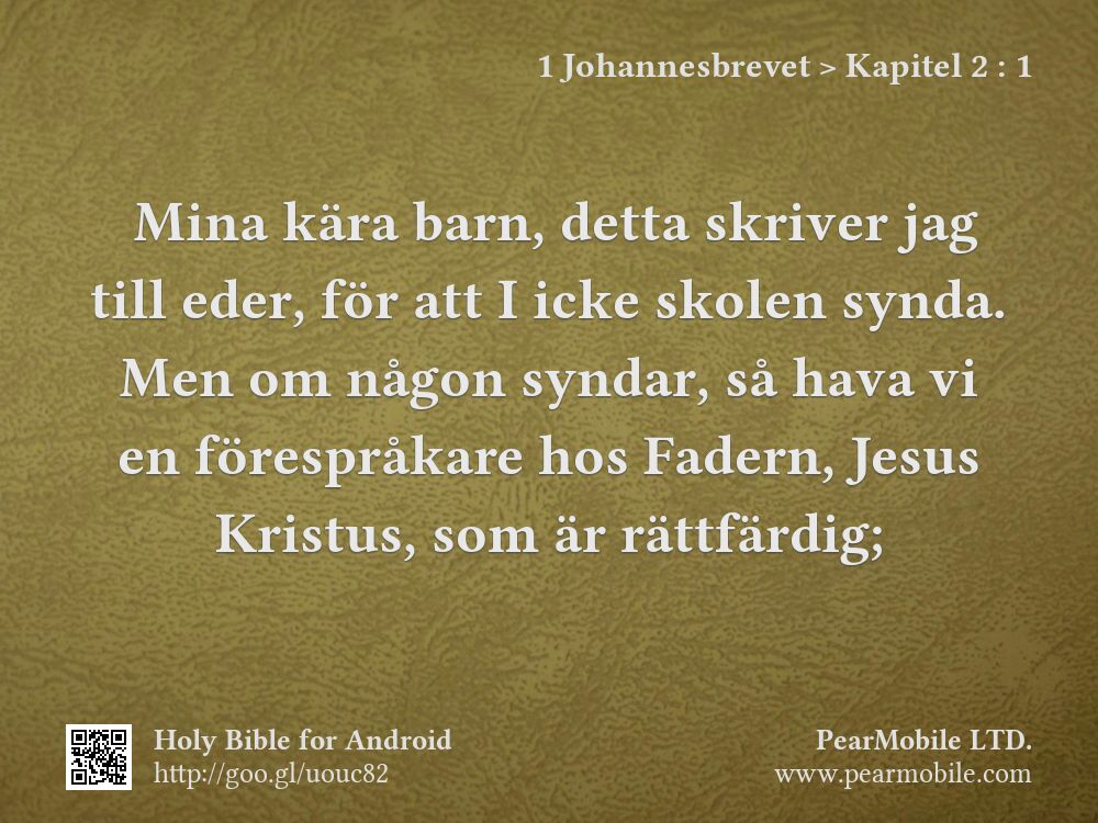 1 Johannesbrevet, Kapitel 2:1